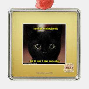 I may be schizophrenic metal ornament