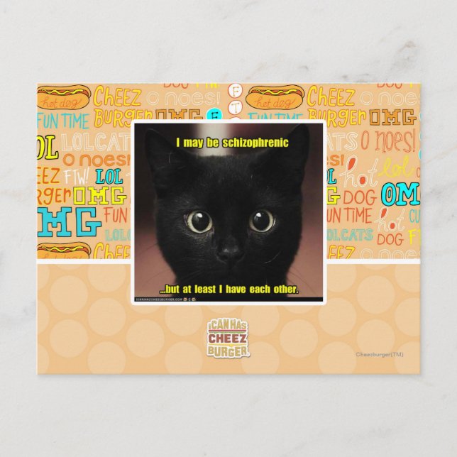 I may be schizophrenic postcard (Front)