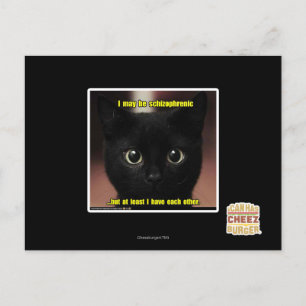 I may be schizophrenic postcard