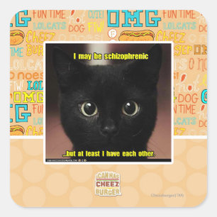 I may be schizophrenic square sticker