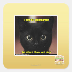 I may be schizophrenic square sticker