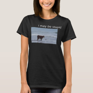 I May Be Stupid Cow Meme i may be stupid Funny T-Shirt