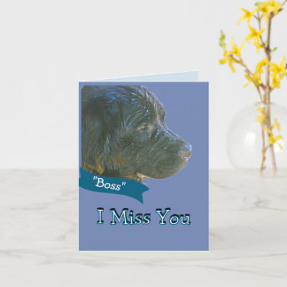 "I Miss You" Beautiful,Sad-looking Newfie Dog Card