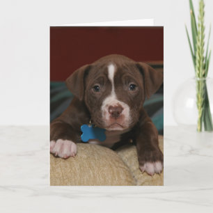 I Miss You - Cute Pit Puppy Holiday Card