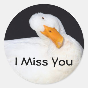 I Miss You, funny duck stickers