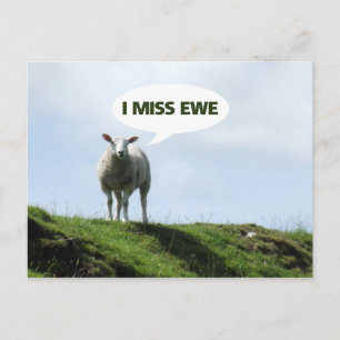 I Miss You Funny Sheep Ewe Postcard