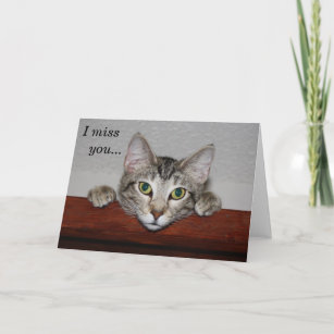 Cute Cat Miss You Cards, Greeting Cards & More | Zazzle CA