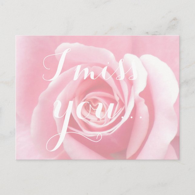 I miss you, Handwriting Typography Pink Rose Postcard (Front)