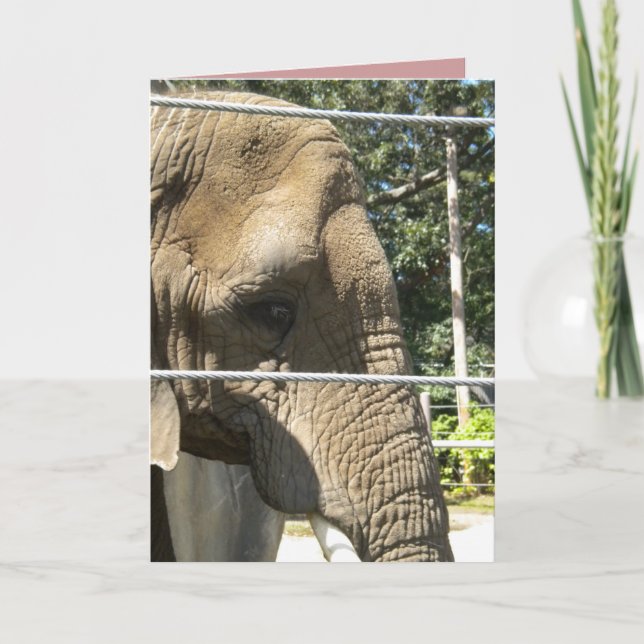 I miss you, let's do lunch, sad elephant card (Front)