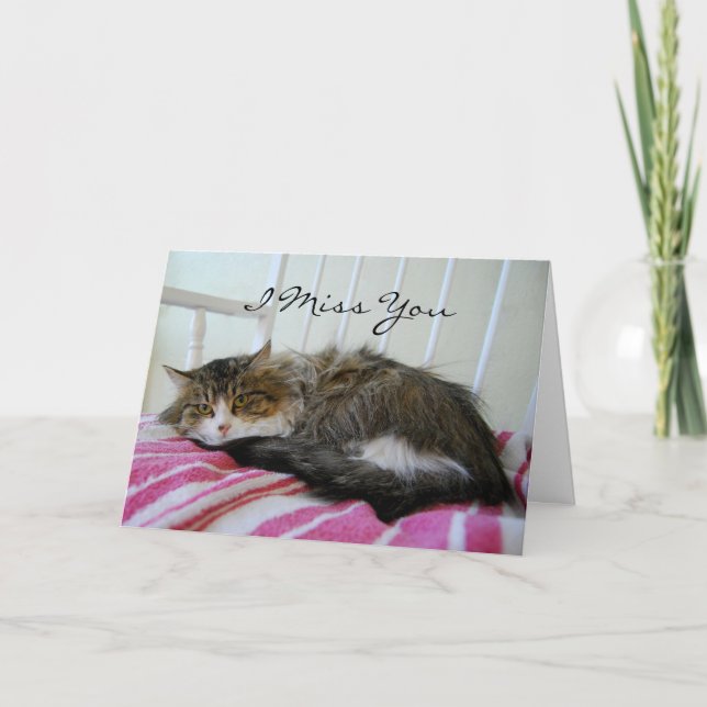 I Miss You, Maine Coon Cat Card (Front)