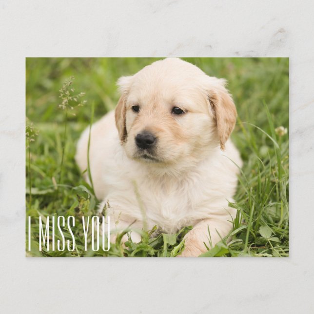 I miss you postcard (Front)