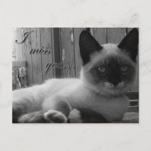 I miss you - postcard