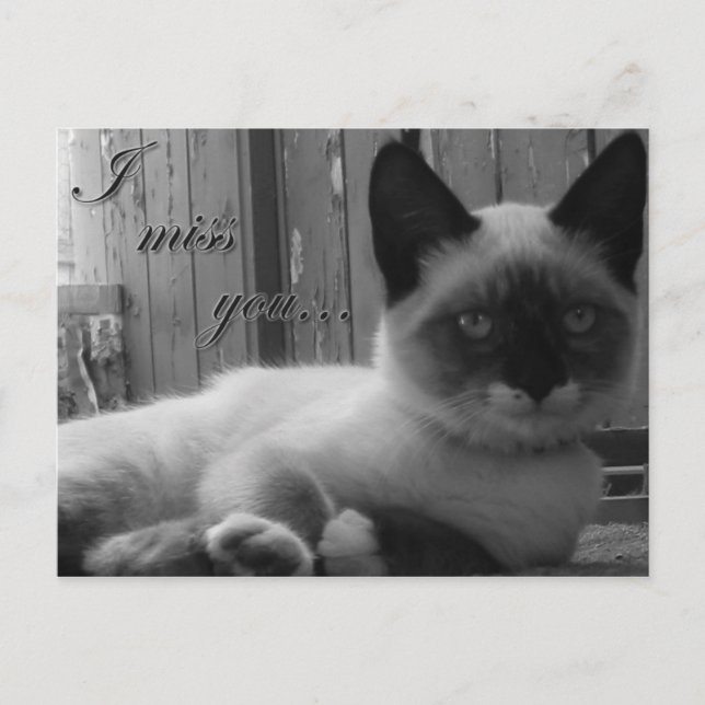 I miss you - postcard (Front)
