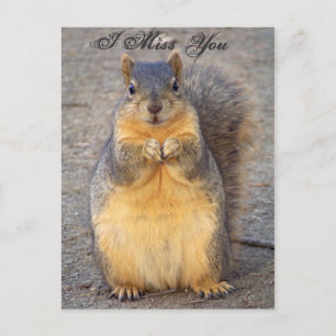 I Miss You_ Postcard_by Elenne Boothe Postcard