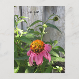 I miss you so much postcard