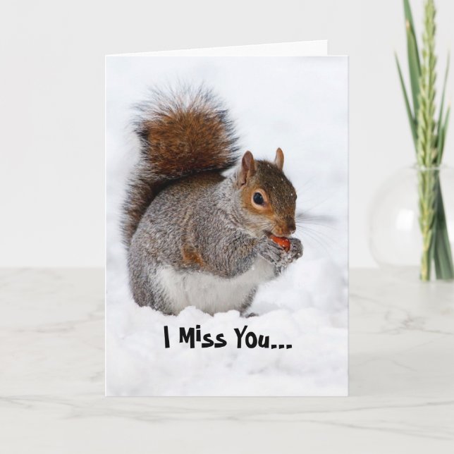 I Miss You Squirrel Greeting card (Front)