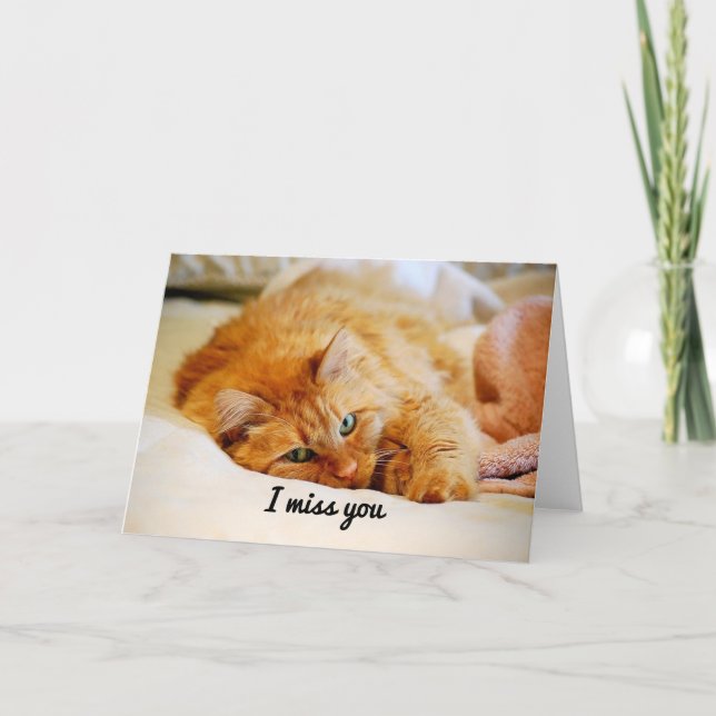 I Miss You, Sweet Orange Maine Coon Cat Card (Front)