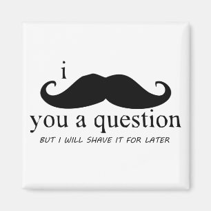 I Moustache You A Question Magnet