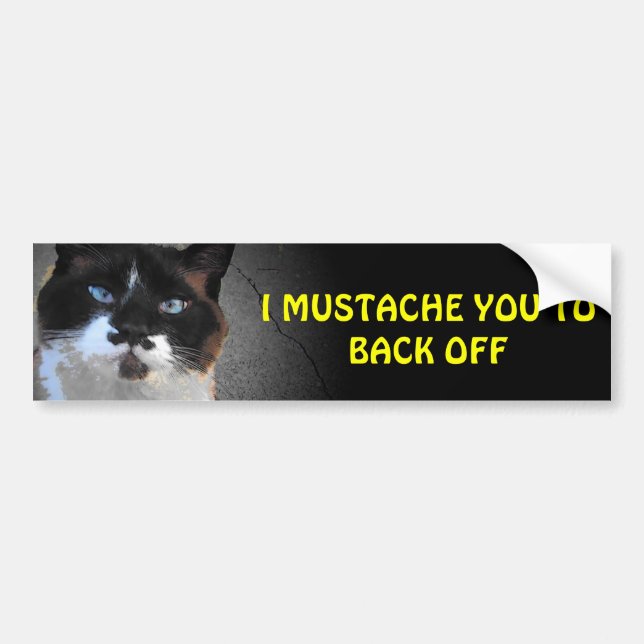 I Moustache You to Back Off Bumper Sticker (Front)