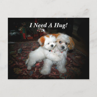 I Need A Hug! Postcard