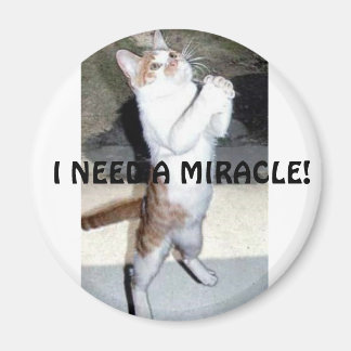 I NEED A MIRACLE! MAGNET