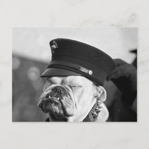 I Need a Nap: 1923 Postcard