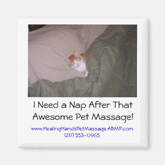 I Need a Nap After That Awesome Pet M... Magnet