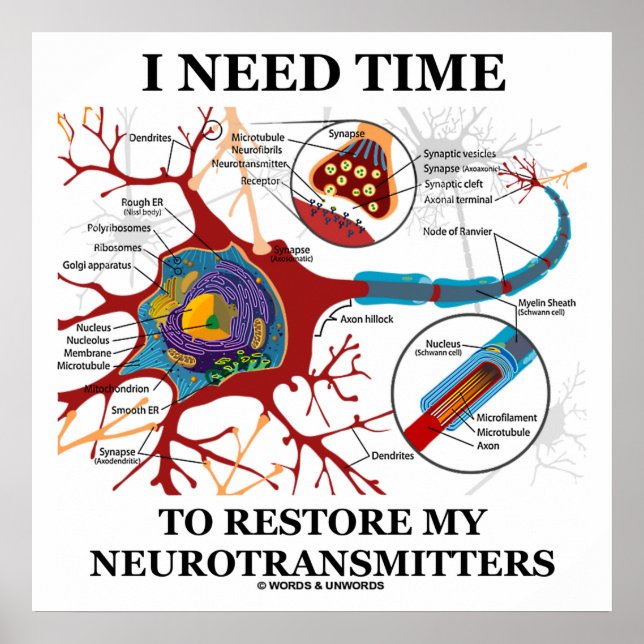 I Need Time To Restore My Neurotransmitters Poster (Front)