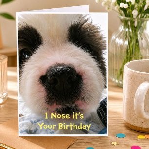 I Nose it's Your Birthday Card
