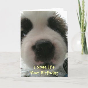 I Nose it's Your Birthday Card