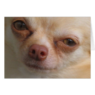 I Only Have Eyes For You