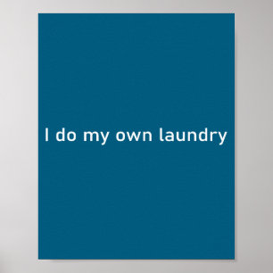I Own Laundry Minimal Achievements Poster