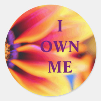 "I Own Me" Project Products Classic Round Sticker