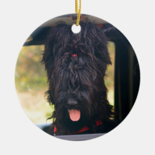 I own this jeep ceramic ornament