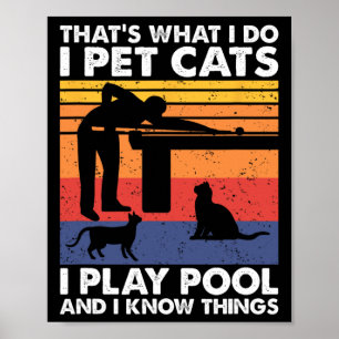 I Pet Cats I Play Pool And I Know Things1 Poster