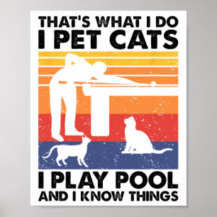 I Pet Cats I Play Pool And I Know Things Poster
