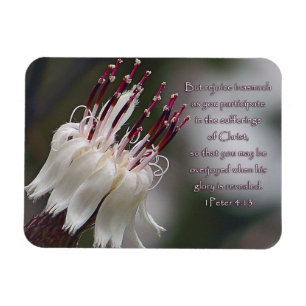 I Peter 4:13 Inspirational Floral Magnet