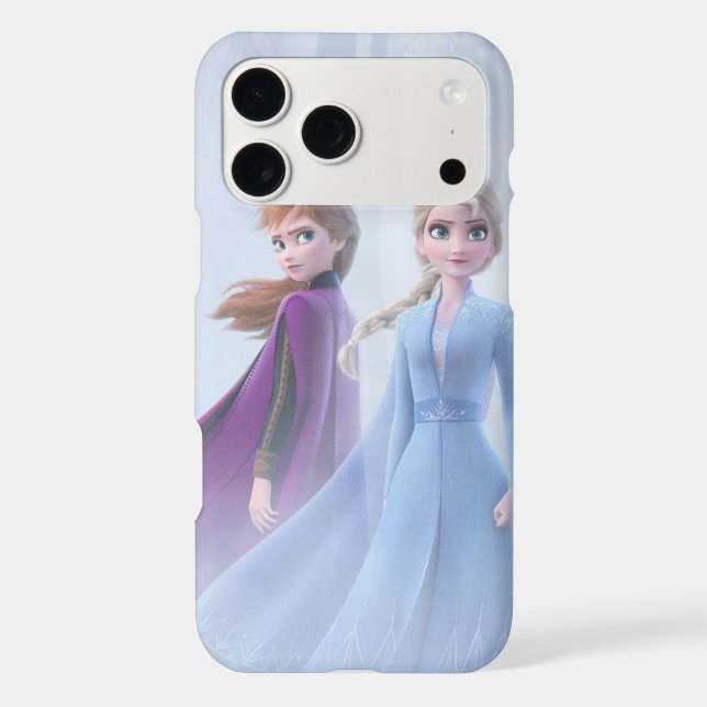 I phone cases (Back)