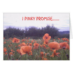 I PINKY PROMISE.......