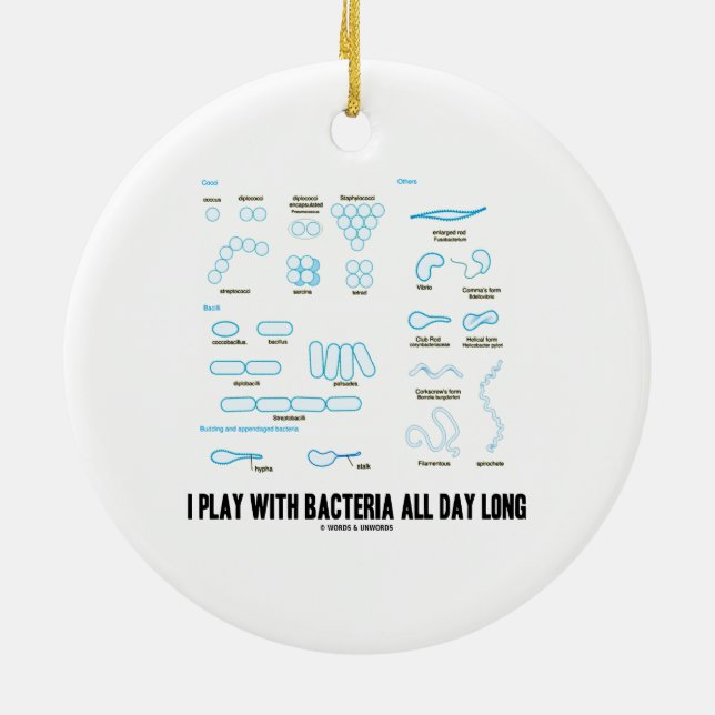 I Play With Bacteria All Day Long (Morphology) Ceramic Ornament (Back)