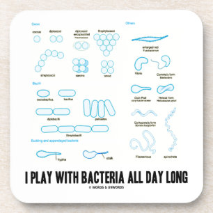 I Play With Bacteria All Day Long (Morphology) Coaster