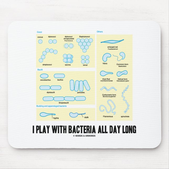 I Play With Bacteria All Day Long (Morphology) Mouse Pad (Front)