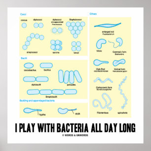 I Play With Bacteria All Day Long (Morphology) Poster