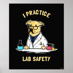 I Practice Lab Safety Poster