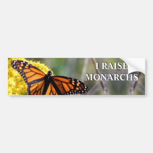 I Raise Monarchs Bumper Sticker