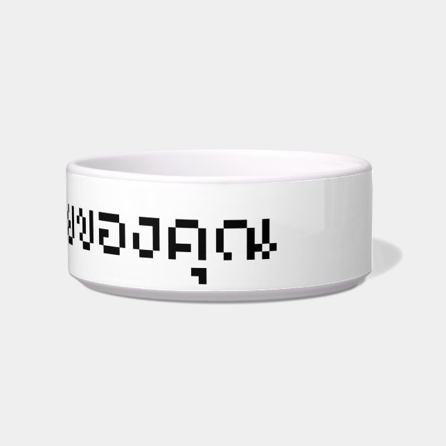 I Read Your Email / Thai Language Script Bowl (Right)