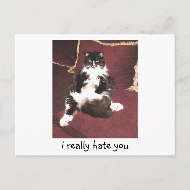 i really hate you postcard (Front)