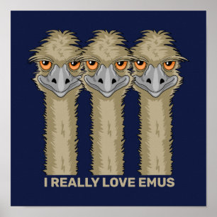I Really Love Emus Poster