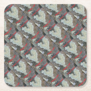 I Really Really Lichen You Square Paper Coaster