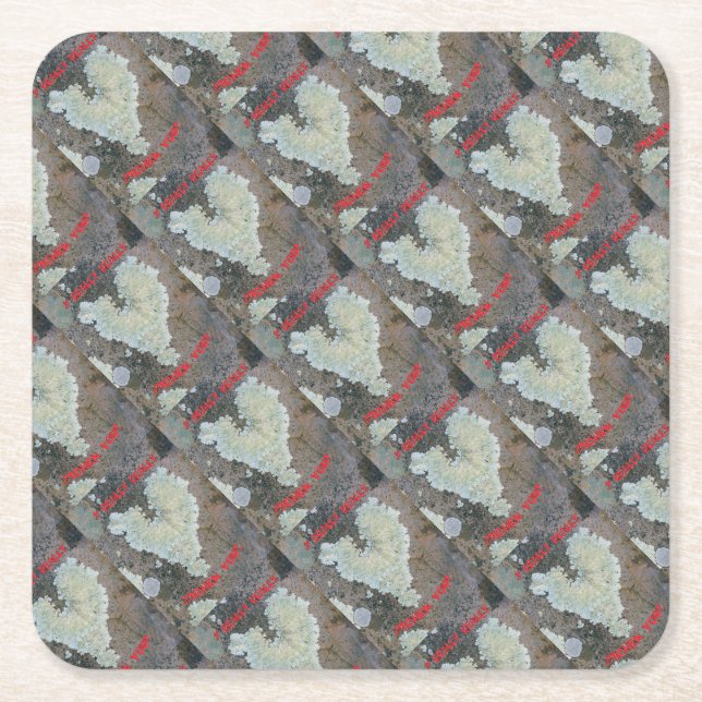I Really Really Lichen You Square Paper Coaster (Front)